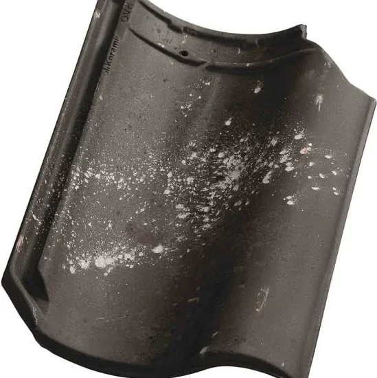 Koop een Dak pan(d)!