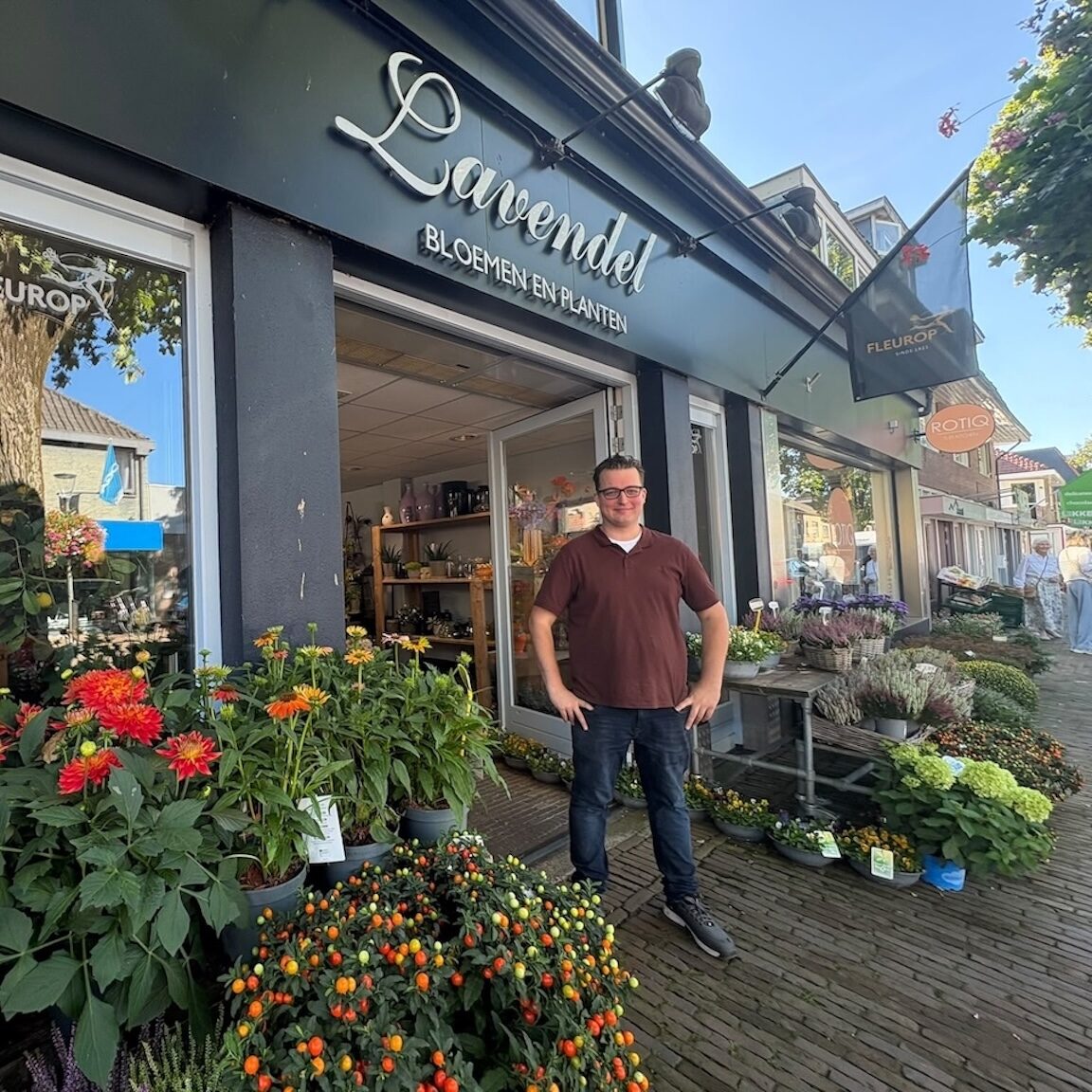 Bloemen en planten lavendel